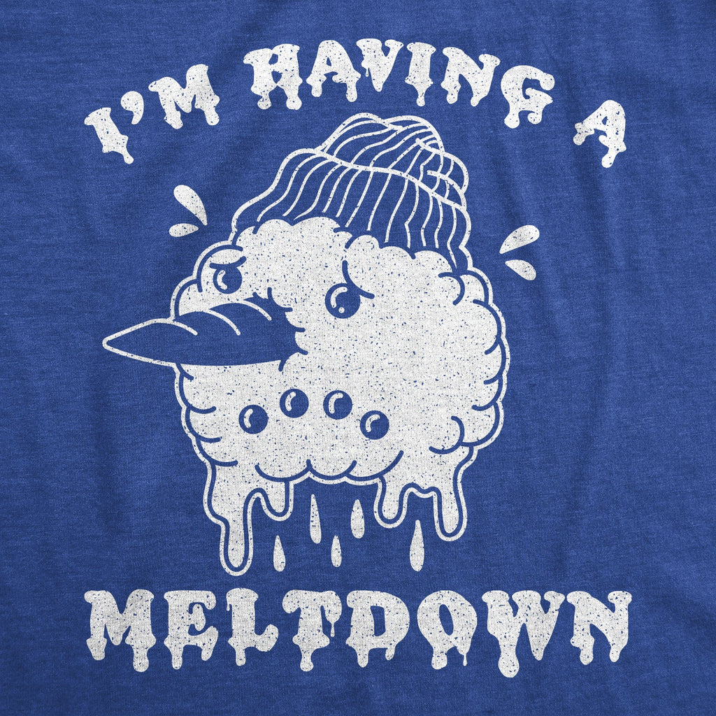 I'm Having A Meltdown Men's T Shirt product image 3