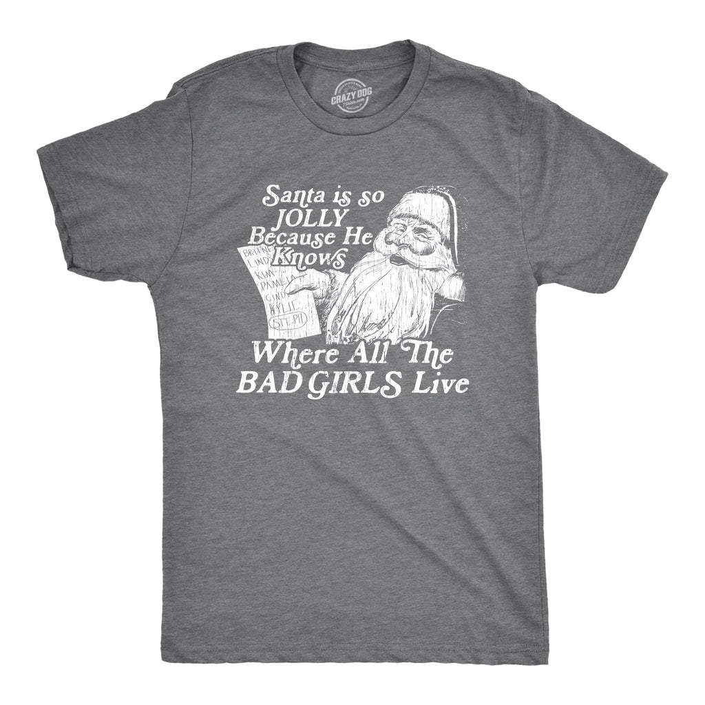 Santa Is Jolly Because He Knows Where The Bad Girls Live product image 1
