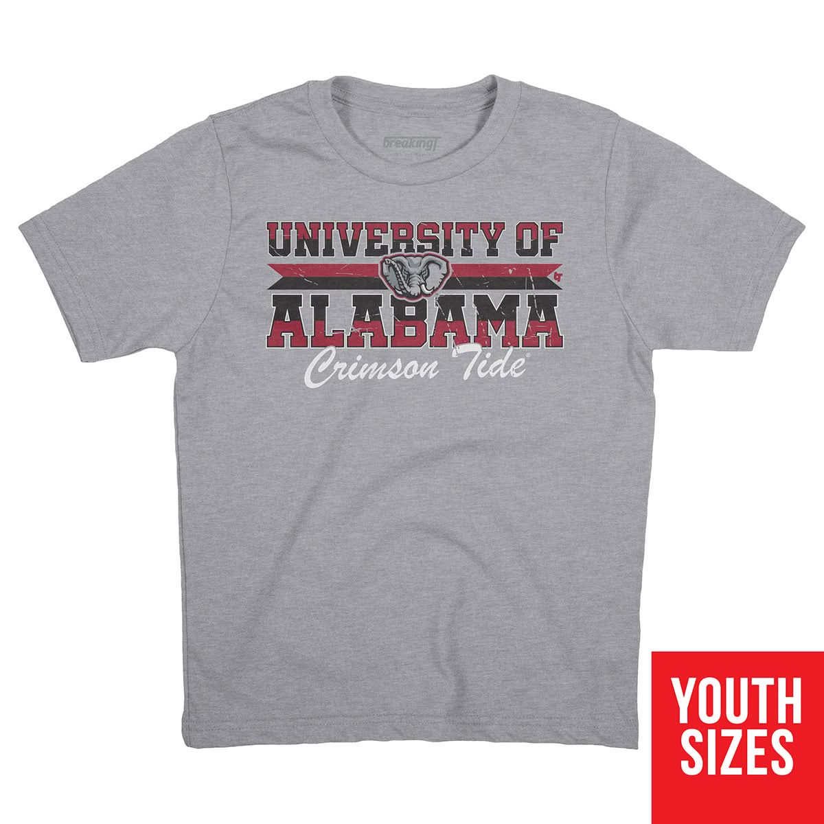 Alabama Crimson Tide: University Throwback product image 3