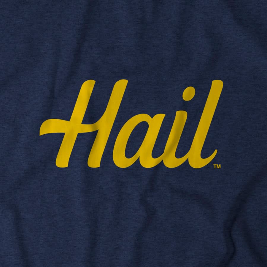 Michigan: Hail product image 7