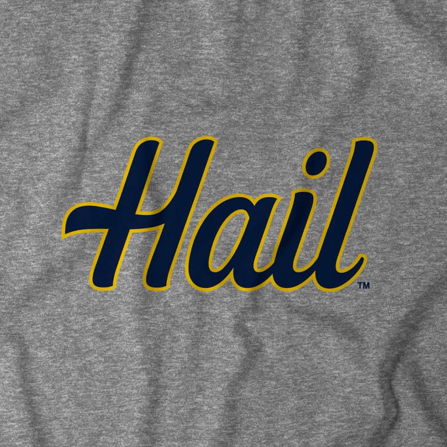 Michigan: Hail product image 8