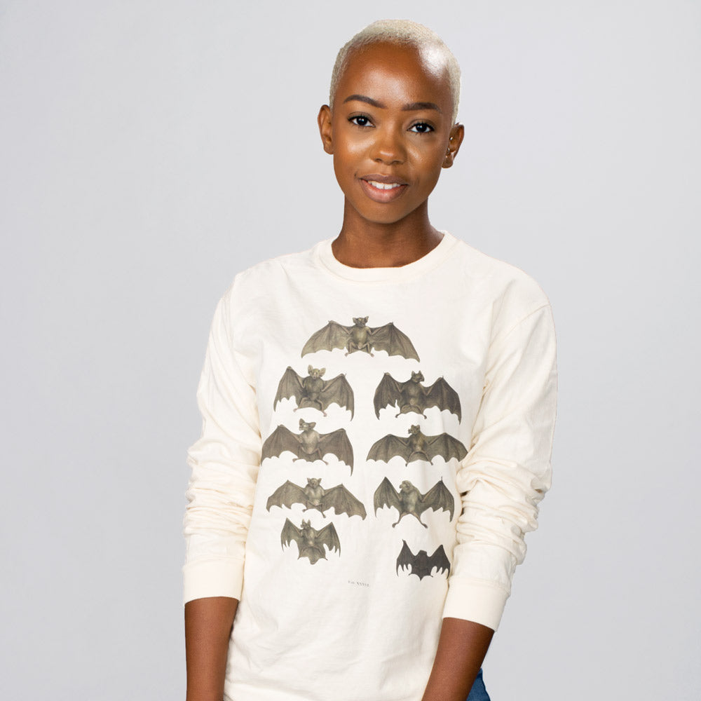 Vintage Bat Chart Long Sleeve product image 1