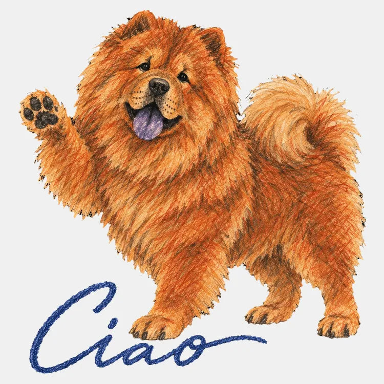 Ciao Chow product image 1