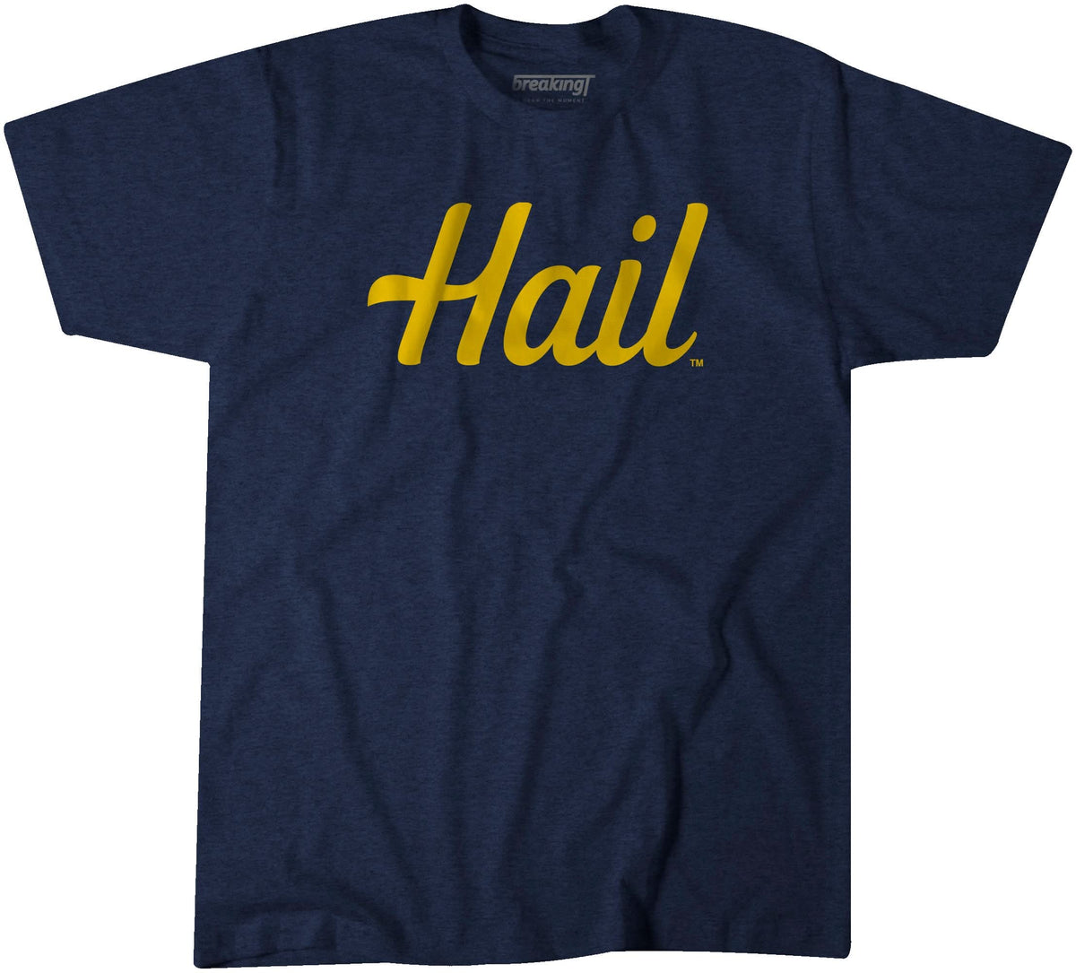 Michigan: Hail product image 2
