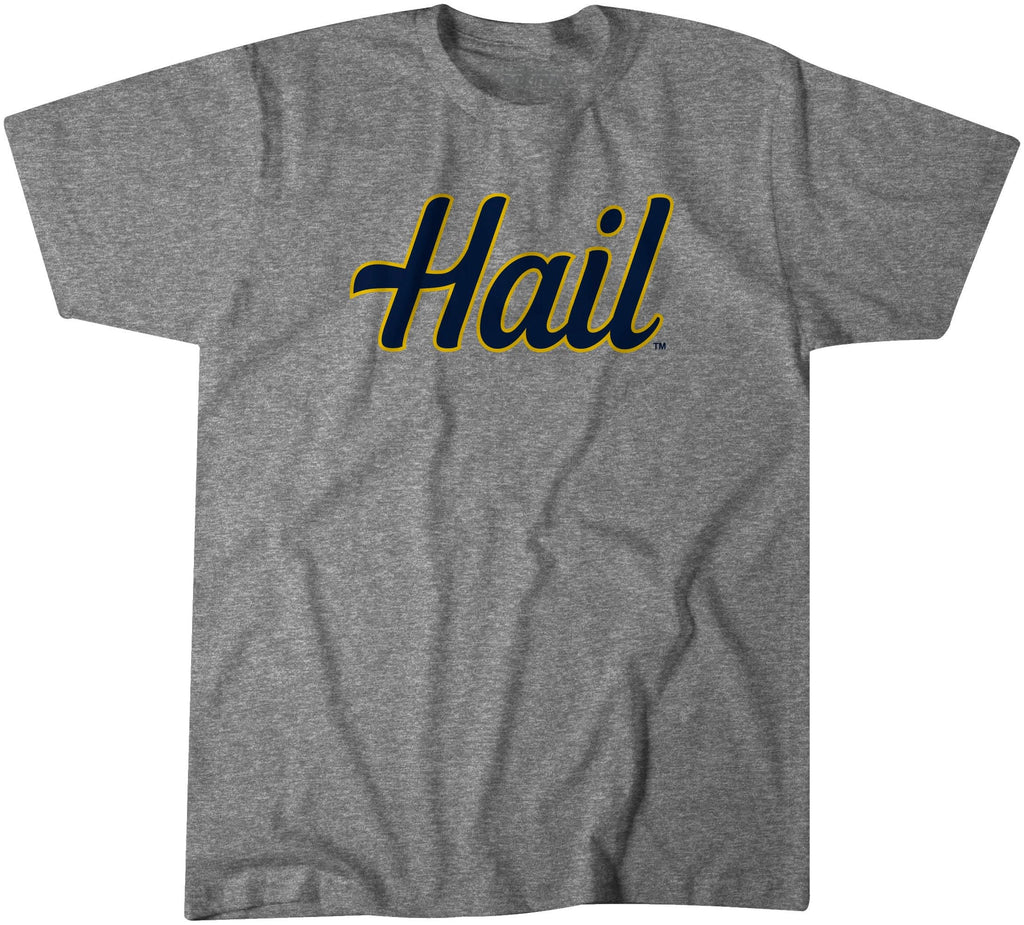 Michigan: Hail product image 1