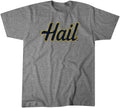 Michigan: Hail product image 1
