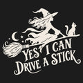 Yes I Can Drive A Stick product image 1