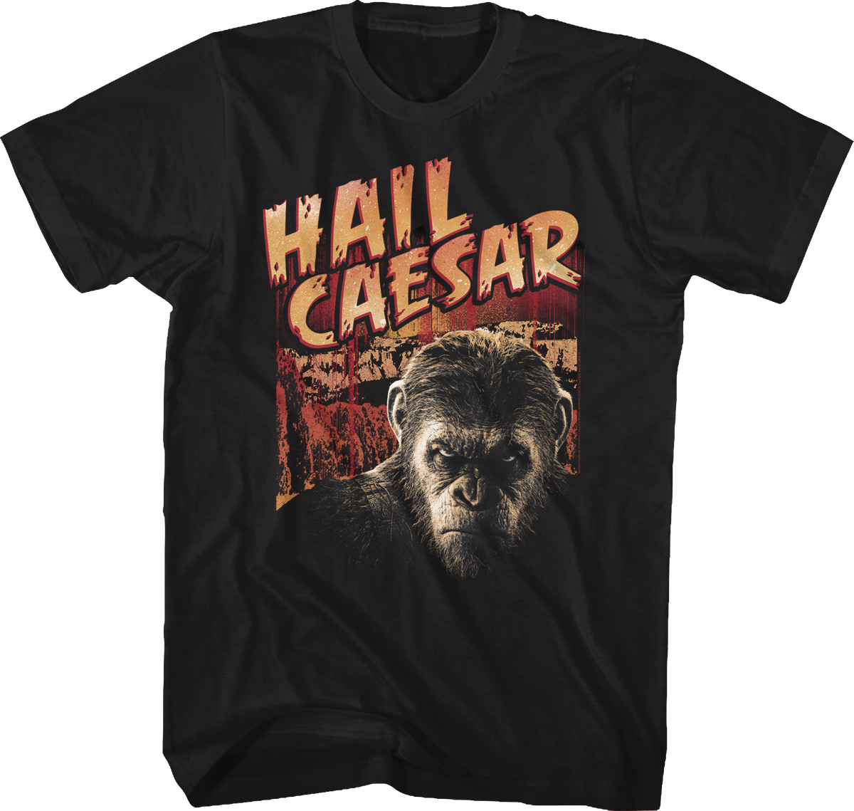 Hail Caesar Planet Of The Apes T-Shirt product image 1