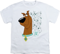 Youth Evolution Of Scooby-Doo Shirt product image 1