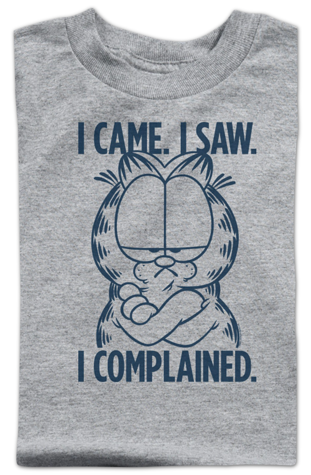 Youth I Came I Saw I Complained Garfield Shirt product image 2
