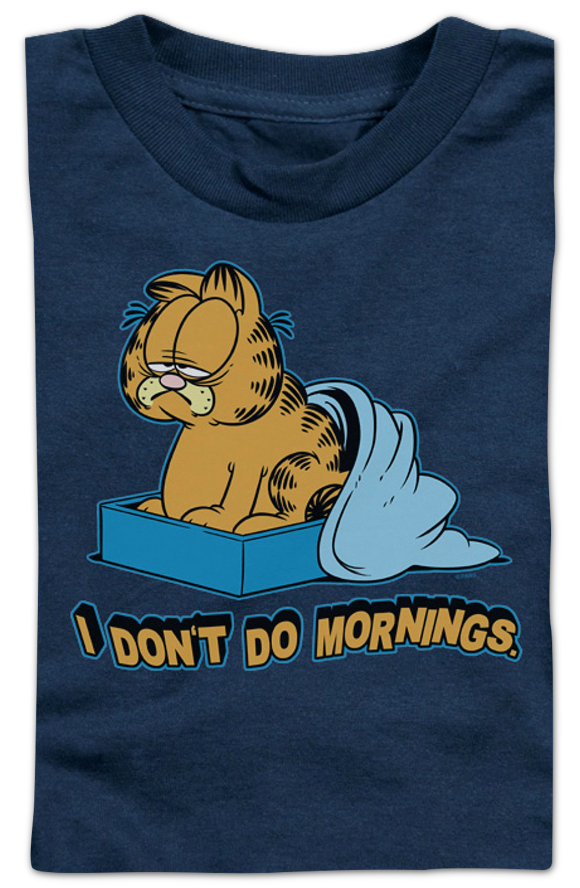 Youth I Don't Do Mornings Garfield Shirt product image 2