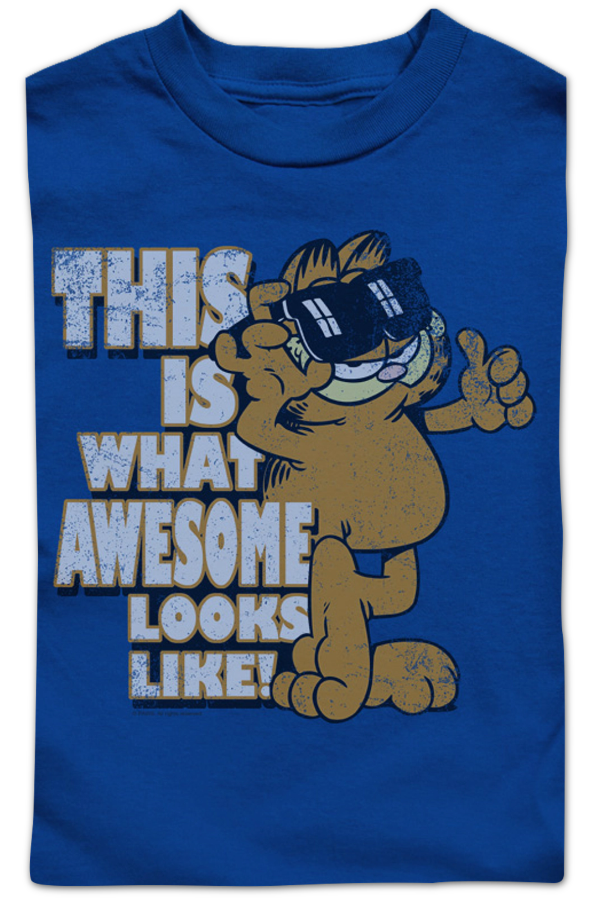 Youth This Is What Awesome Looks Like Garfield Shirt product image 2